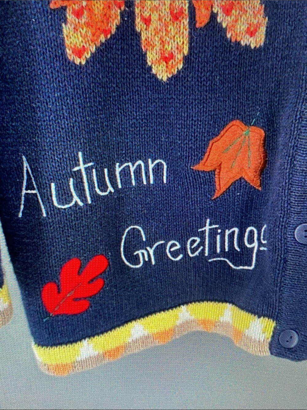 Quacker Factory Navy Cardigan with Multicolor Autumn Appliqués - Picture 6 of 8